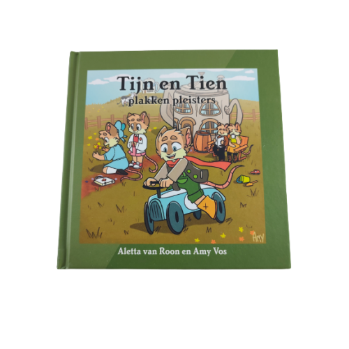 Tijn en Tien; plakken en pleisters