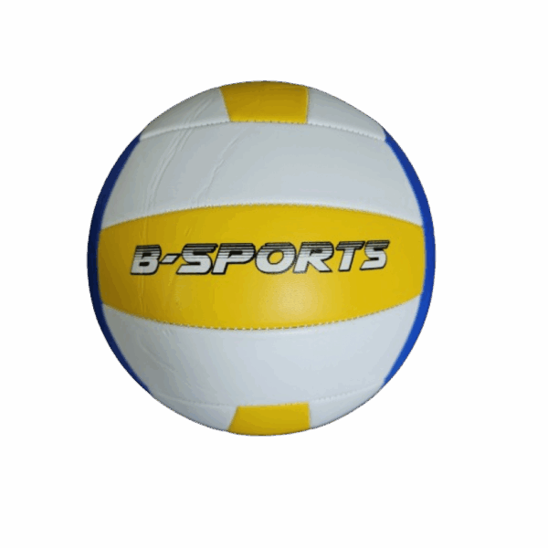 Volleybal B-Sport