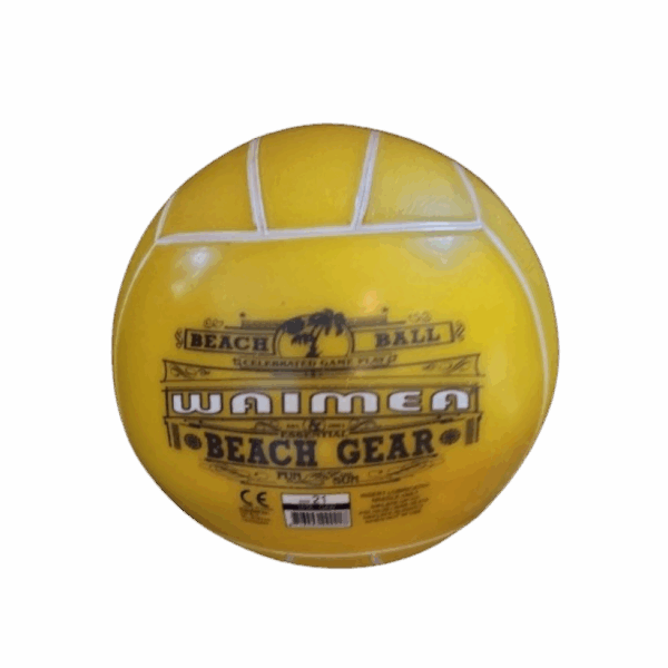 Beachbal