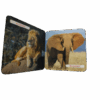 Blokboekje Dag Dieren! Wilde dieren - Afbeelding 2