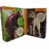 Kleuter Bibliotheek Wilde Dieren - Afbeelding 2