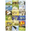 Puzzel dieren - Afbeelding 3