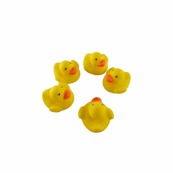 Badeendjes (5)