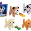 Wandelende puppy - Afbeelding 2