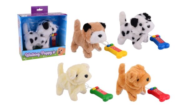 Wandelende puppy